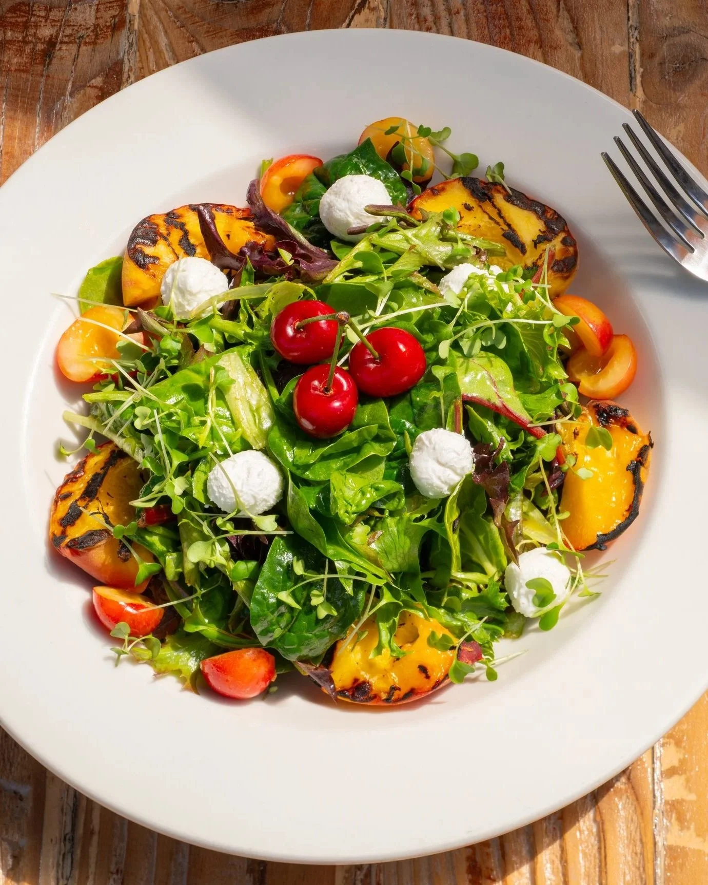 A fresh mixed green salad with grilled yellow squash, cherry tomatoes, mozzarella balls, and microgreens on a white plate.