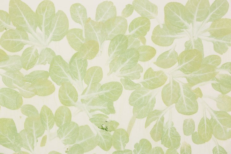  Haegue Yang, ‘Edibles – Cold Storage, Earthbound Farm, Organic Baby Spinach, 142 g’     (detail)  ,   2019, Vegetable pressed on paper, 78 x 68 x 4 cm (framed). © Haegue Yang / STPI. Photo courtesy of the Artist and STPI. 