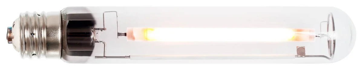 BDUSDP600_LitBulb.jpg