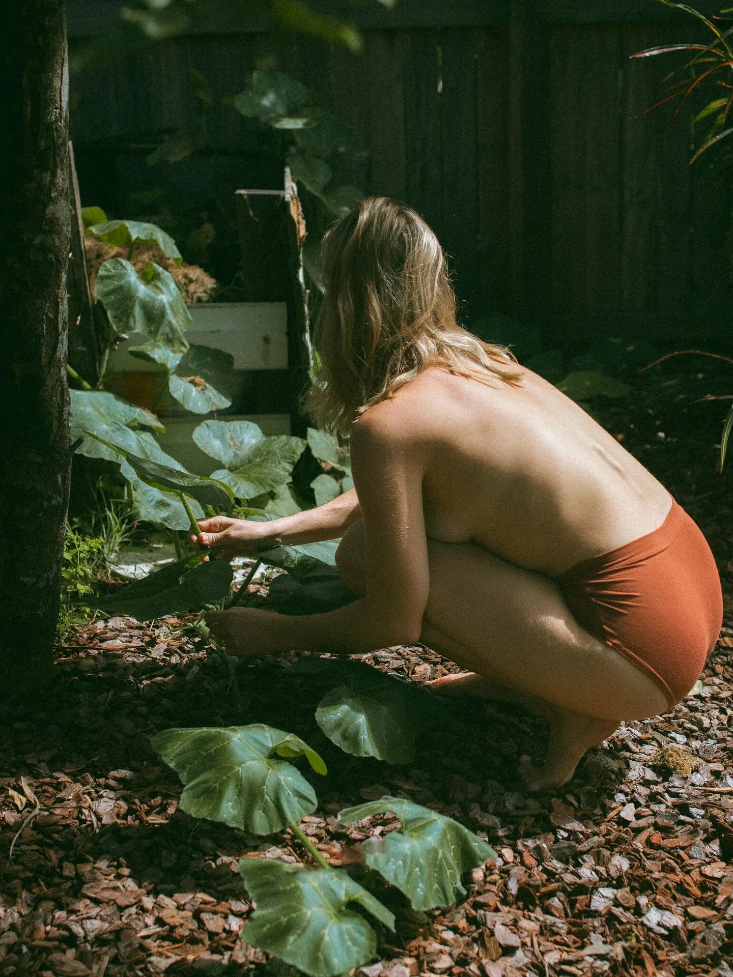 Nothing fancy- just you, your babes and your backyard is all you need 🍊