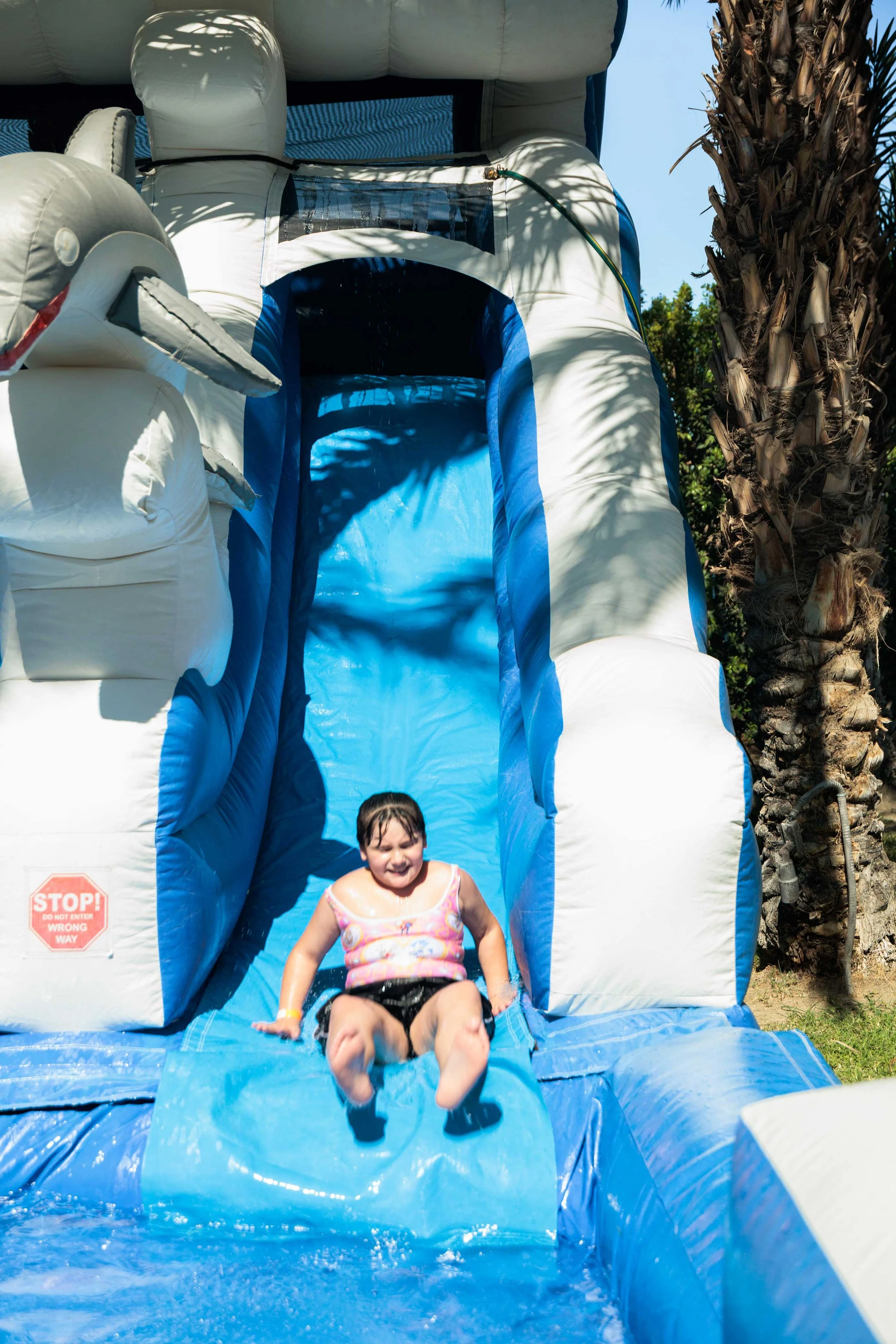2026-8-BlueZones-Summer-12-WEB.jpg