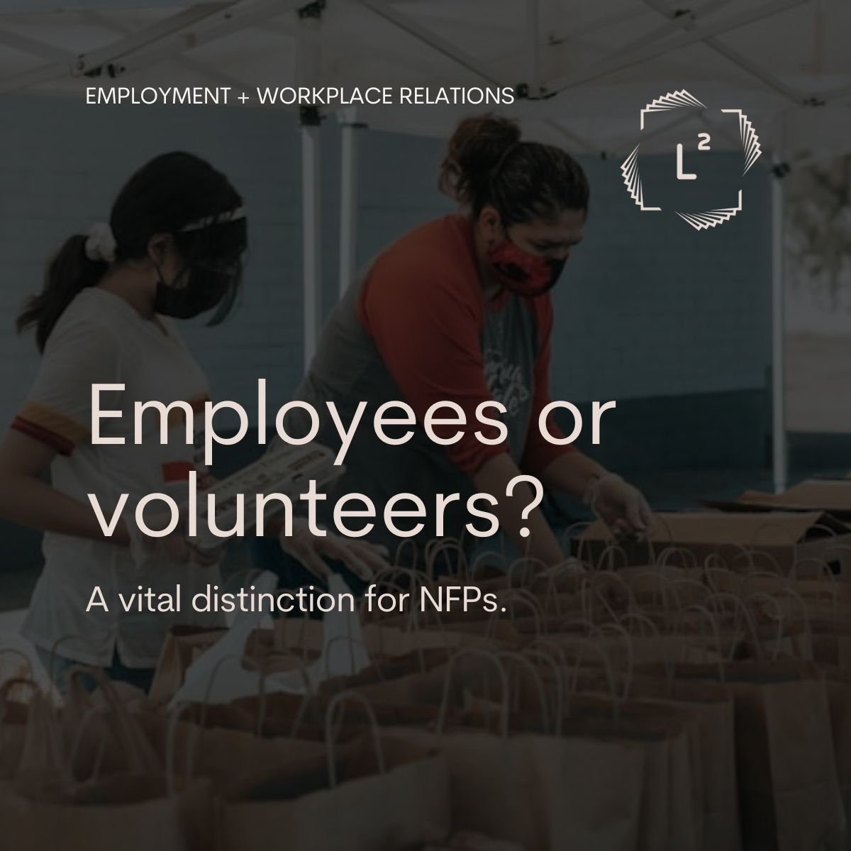 Employees or Volunteers? A Vital Distinction for NFPs