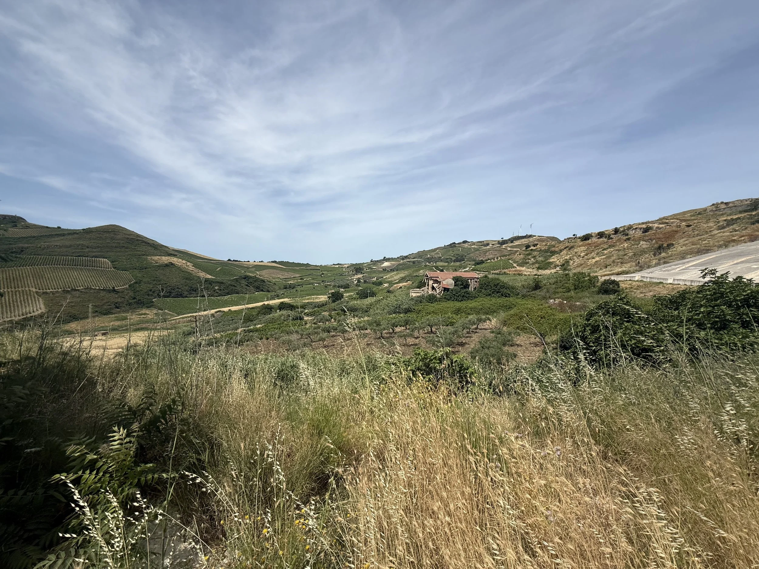 IMG_3309.jpeg