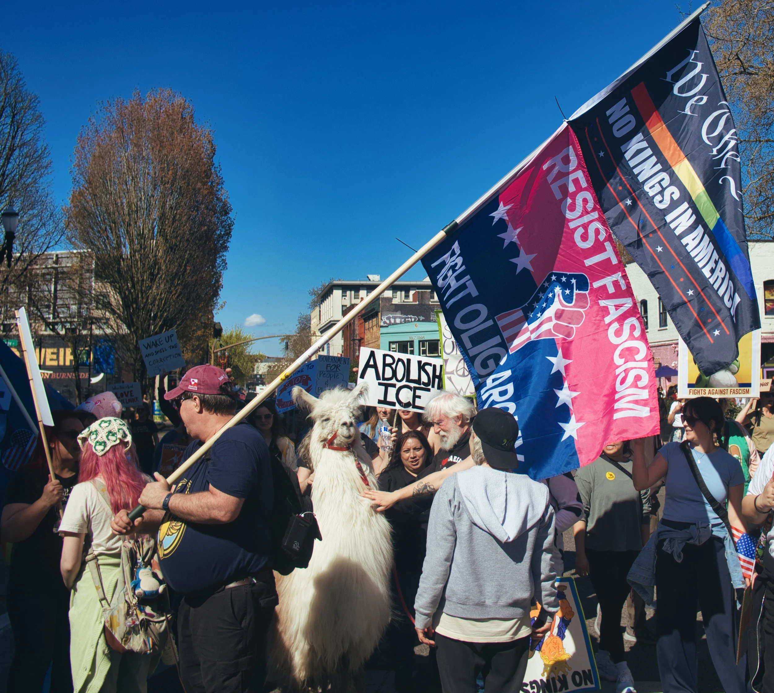 Viva Llama Revolución | Portland
