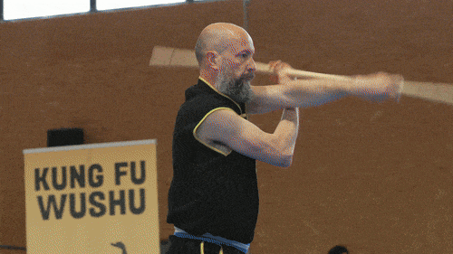 tournois-atl-kung_fu-1-gif-squarespace-optimized.gif