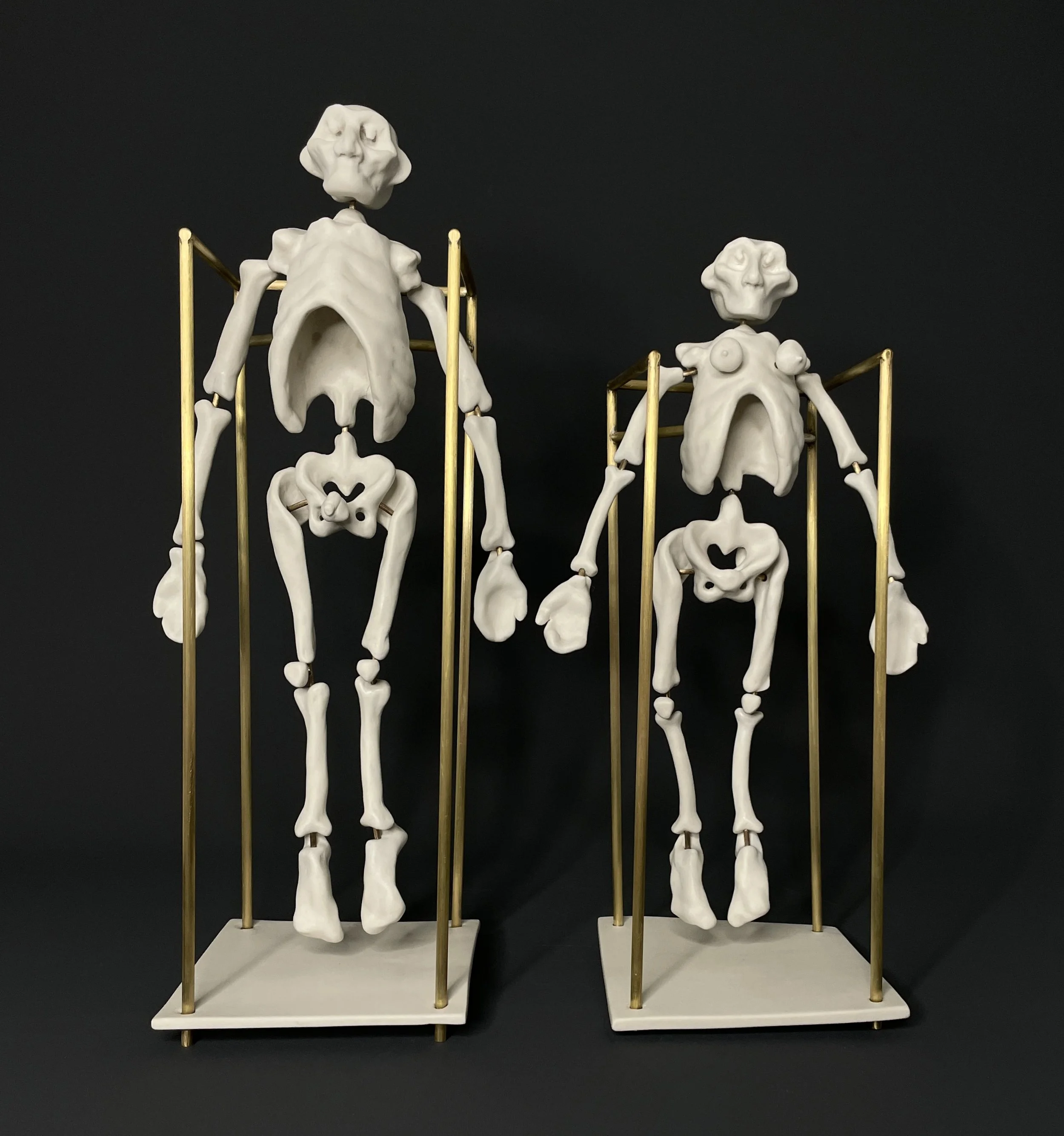 "basic human anatomy" 
porcelain, bronze, brass
man- 19cm x 16cm x 47cm, 
woman- 19cm x 16cm x 42cm.