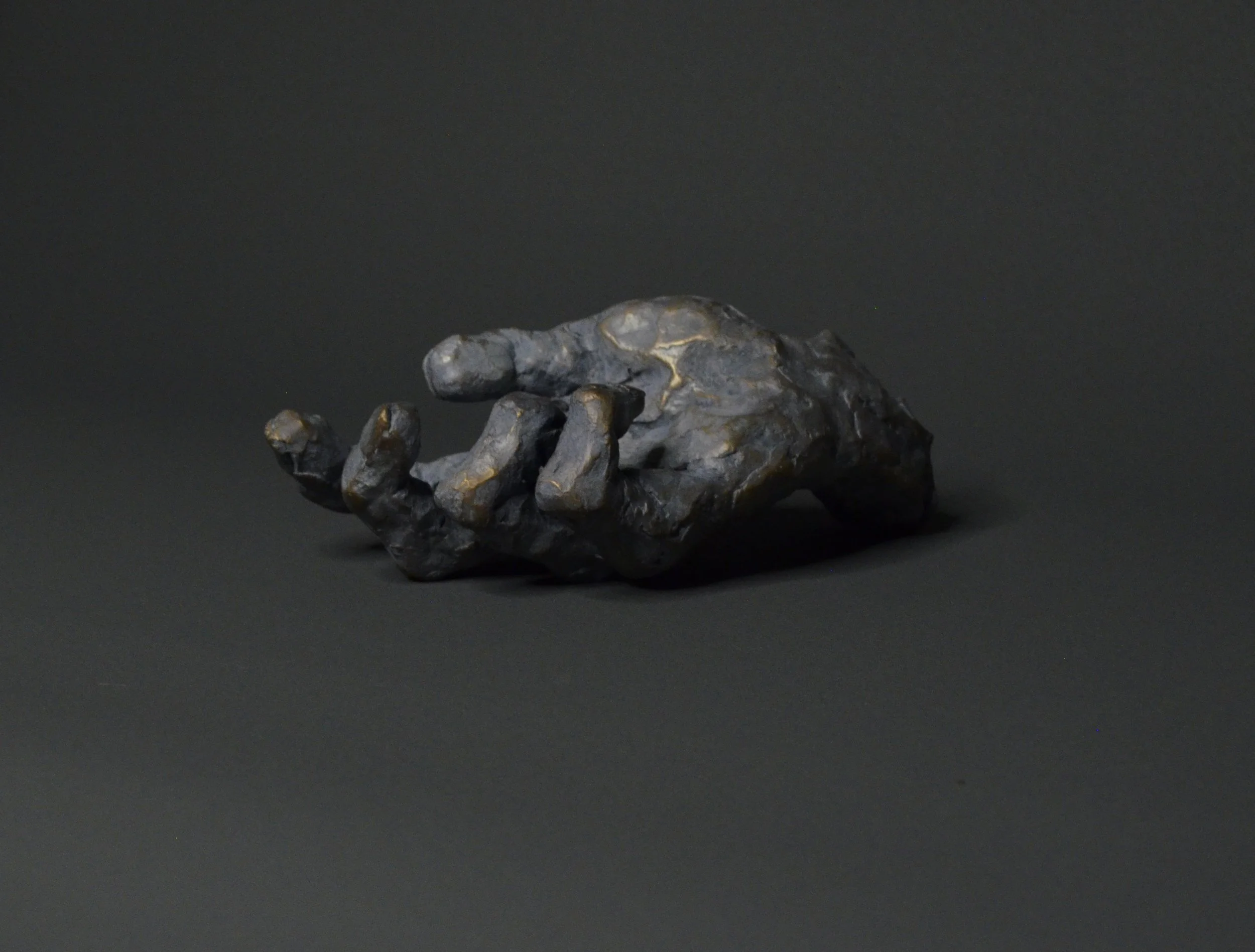 Grasp
bronze
22cm x 11cm  x 7.5cm