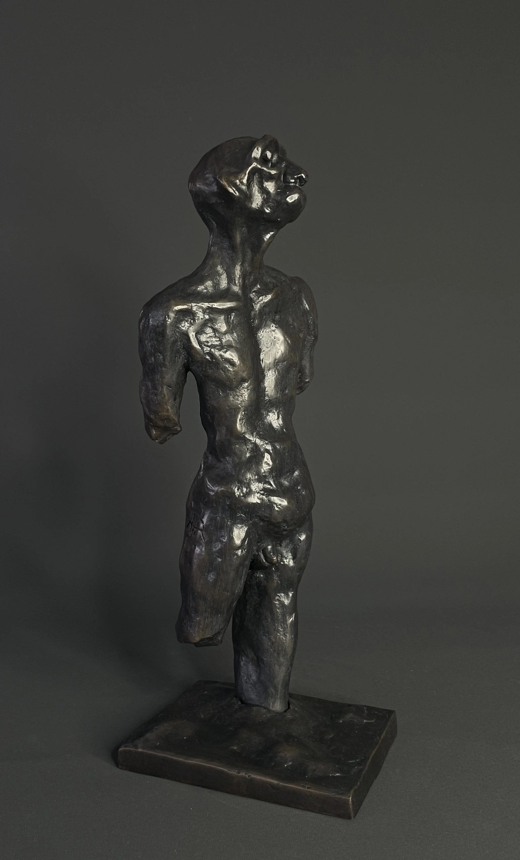 Endure
bronze
10cm x 35cm x 15cm