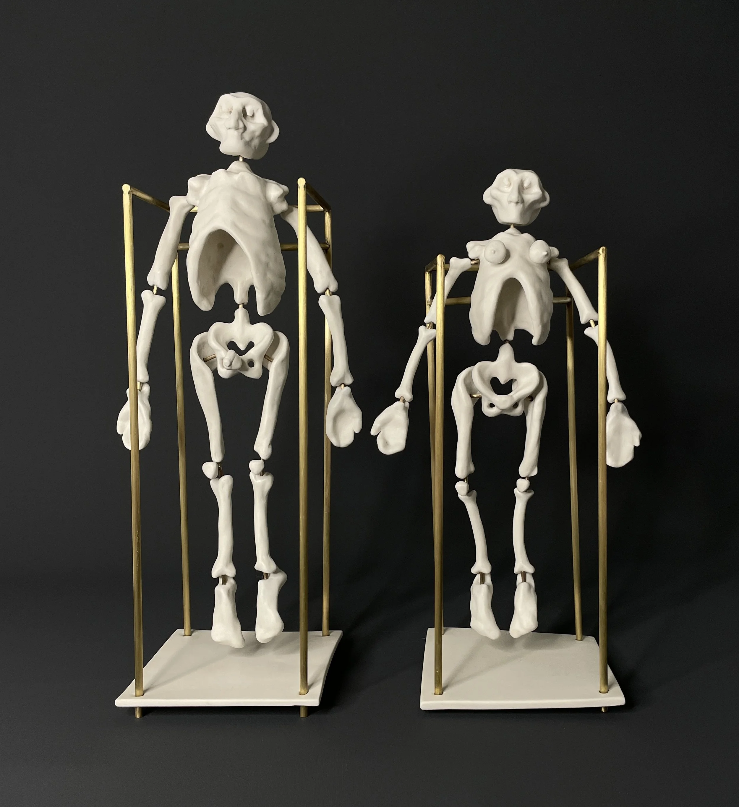 Basic Human Anatomy