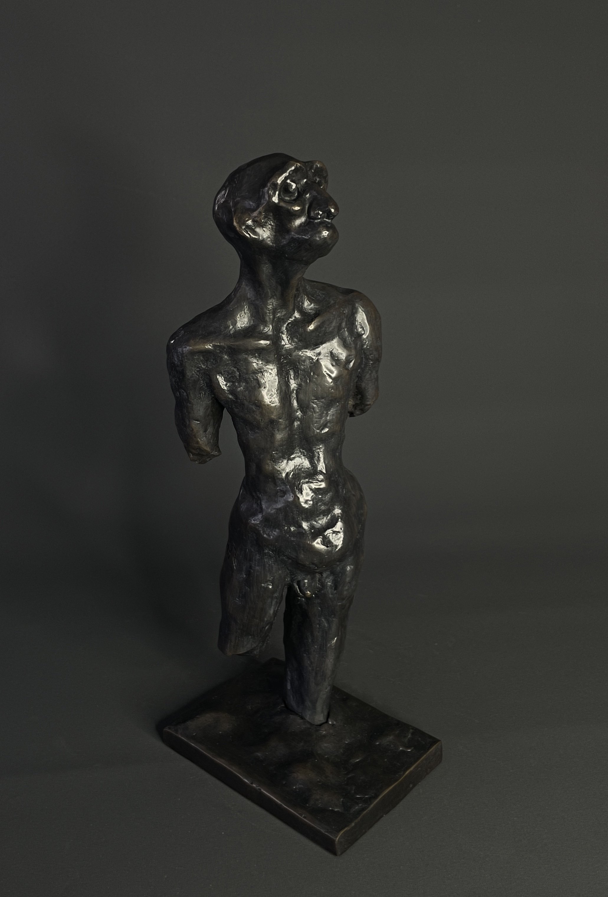 Endure
bronze
10cm x 35cm x 15cm