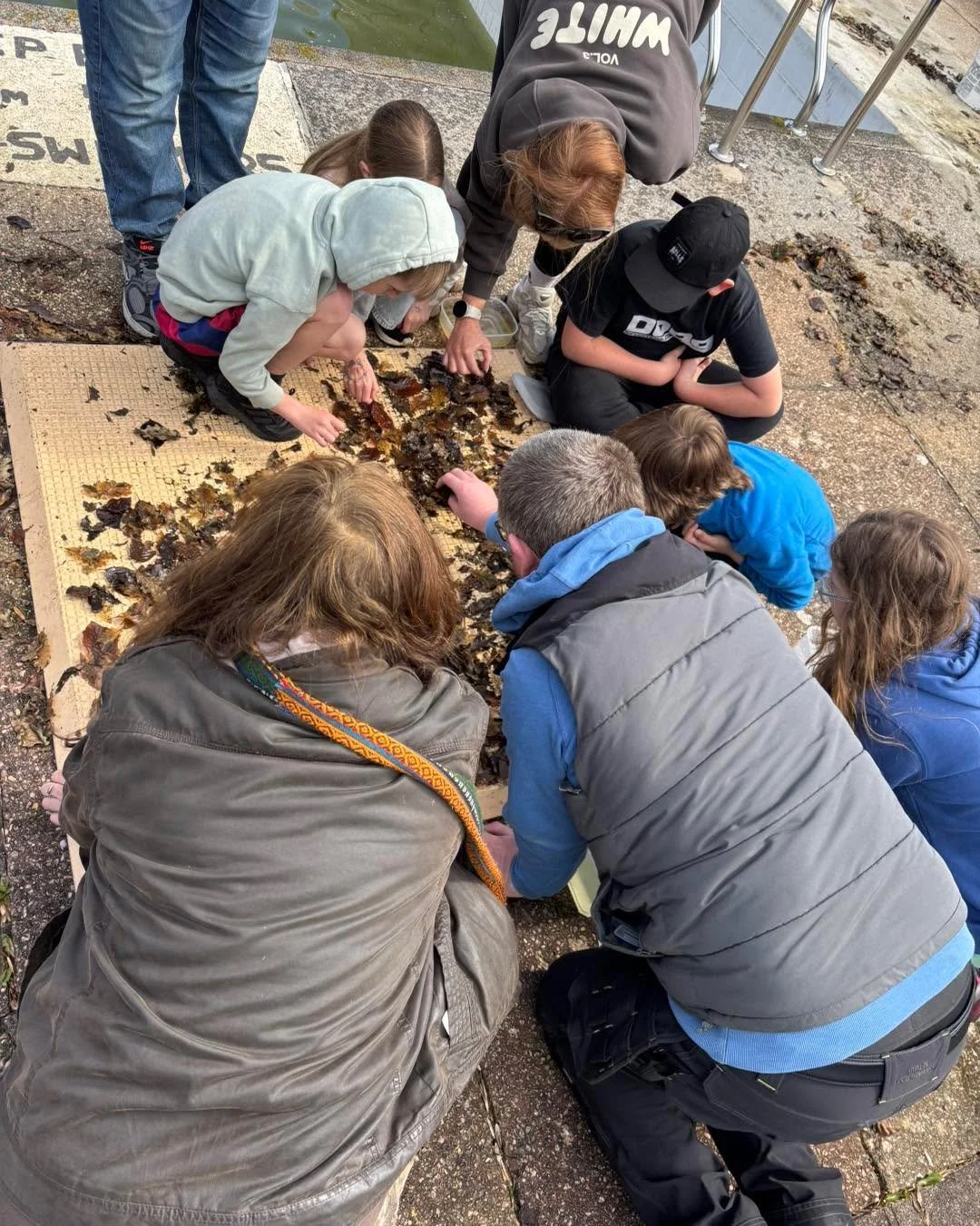 The great tadpole event. Thanks everyone so much for coming and joining in. 
We hope your tadpoles make it through to maturity