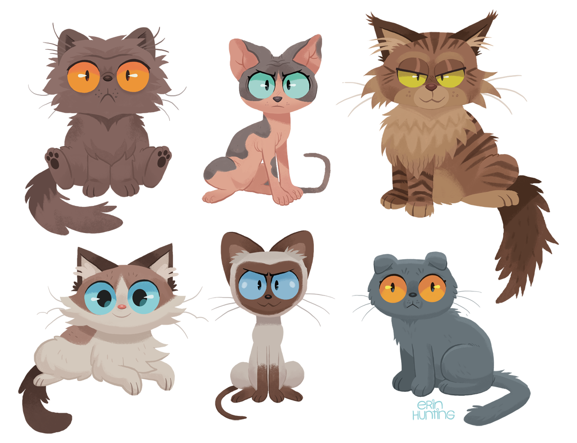 Breeds-of-cats.png