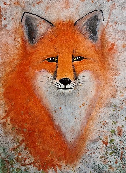 fox1+by+kay+allen.jpg
