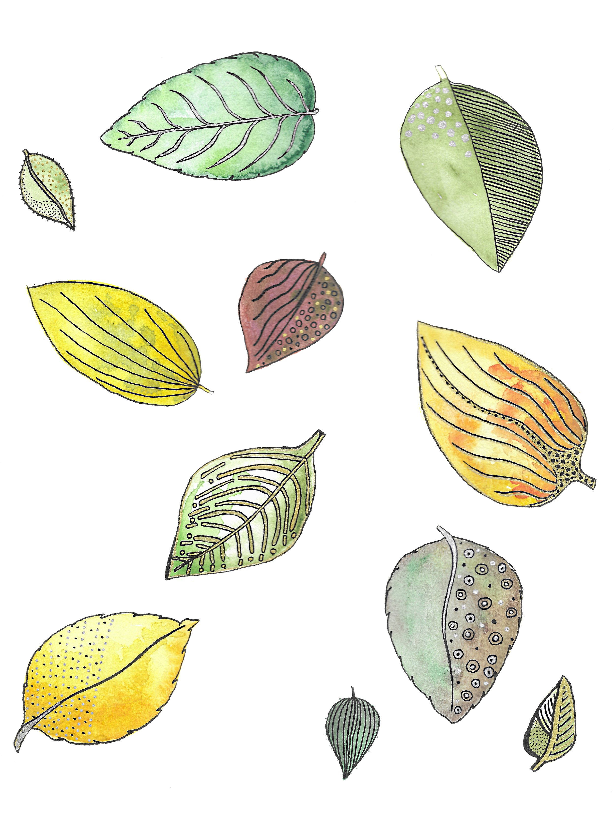 Image (9).jpg