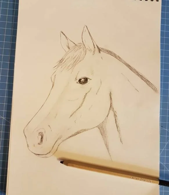 horse by kay allen.JPG