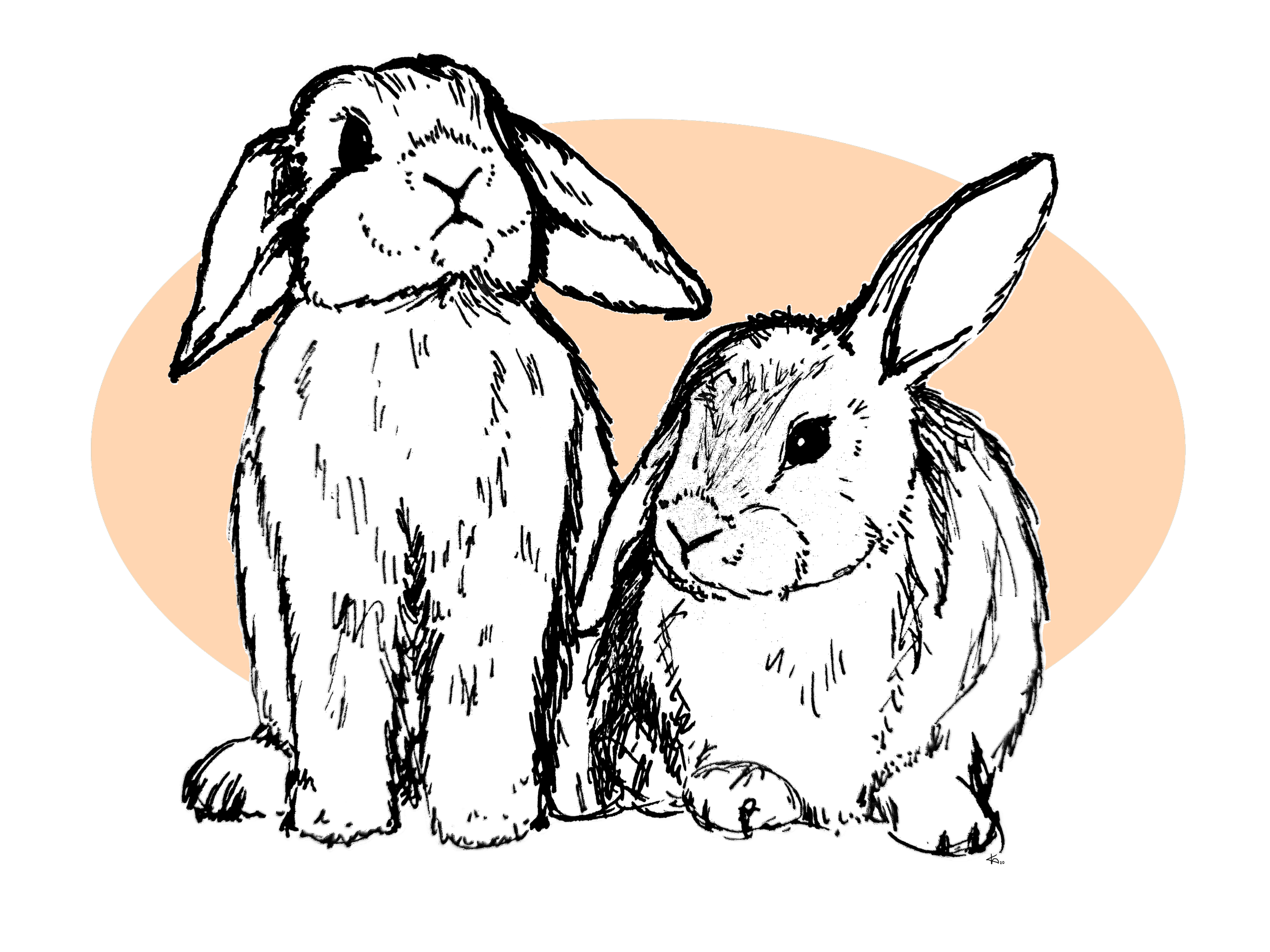 Bunnies3.png