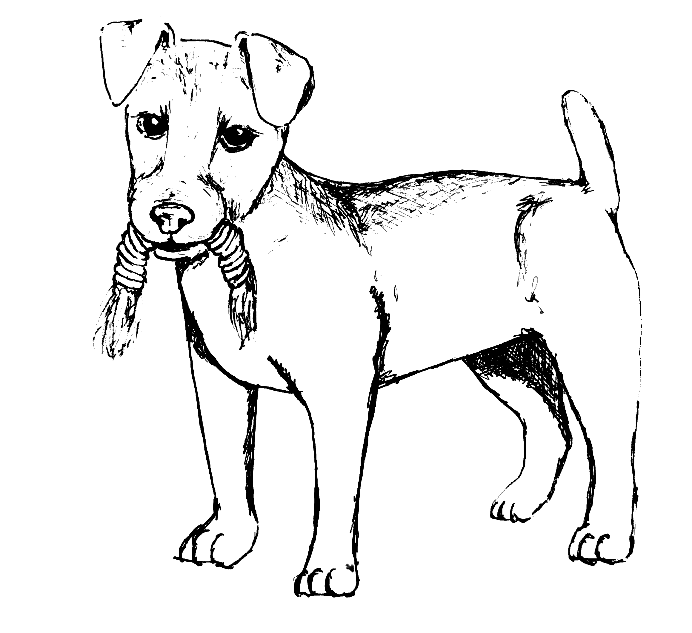 Terrier.png