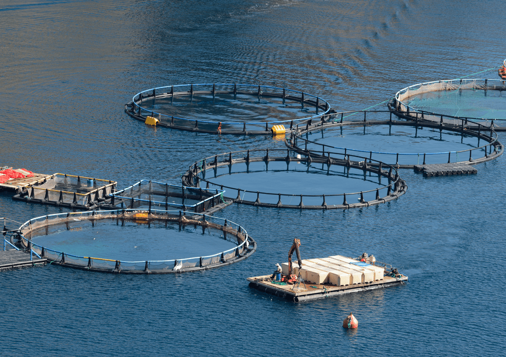 CivTech Challenge 11.1 — Sustainable aquaculture industry — CivTech