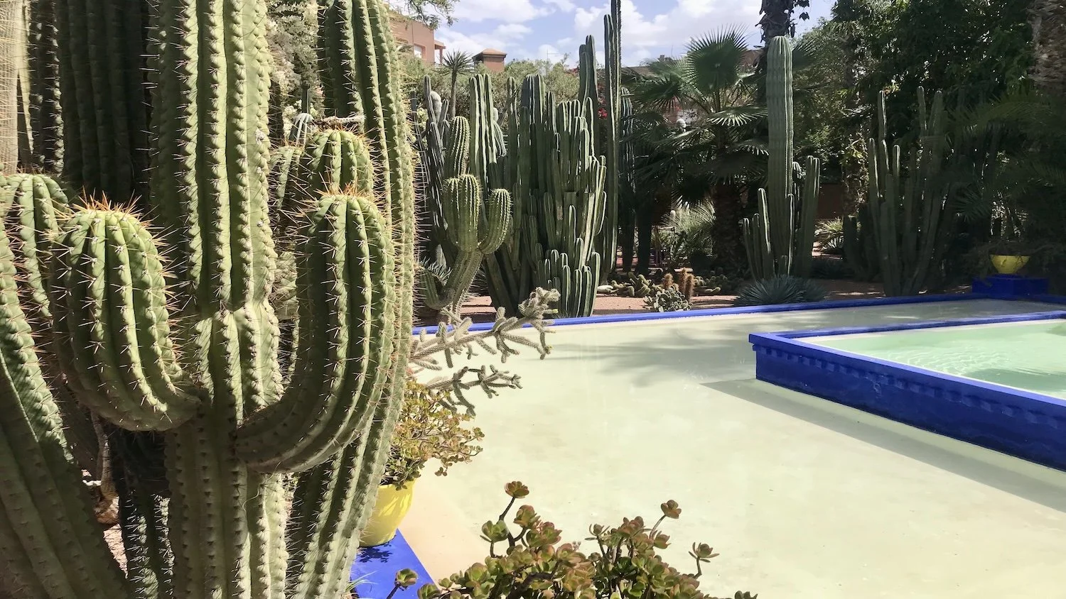 What to Do in Marrakech (2026): A Local Expert’s Guide