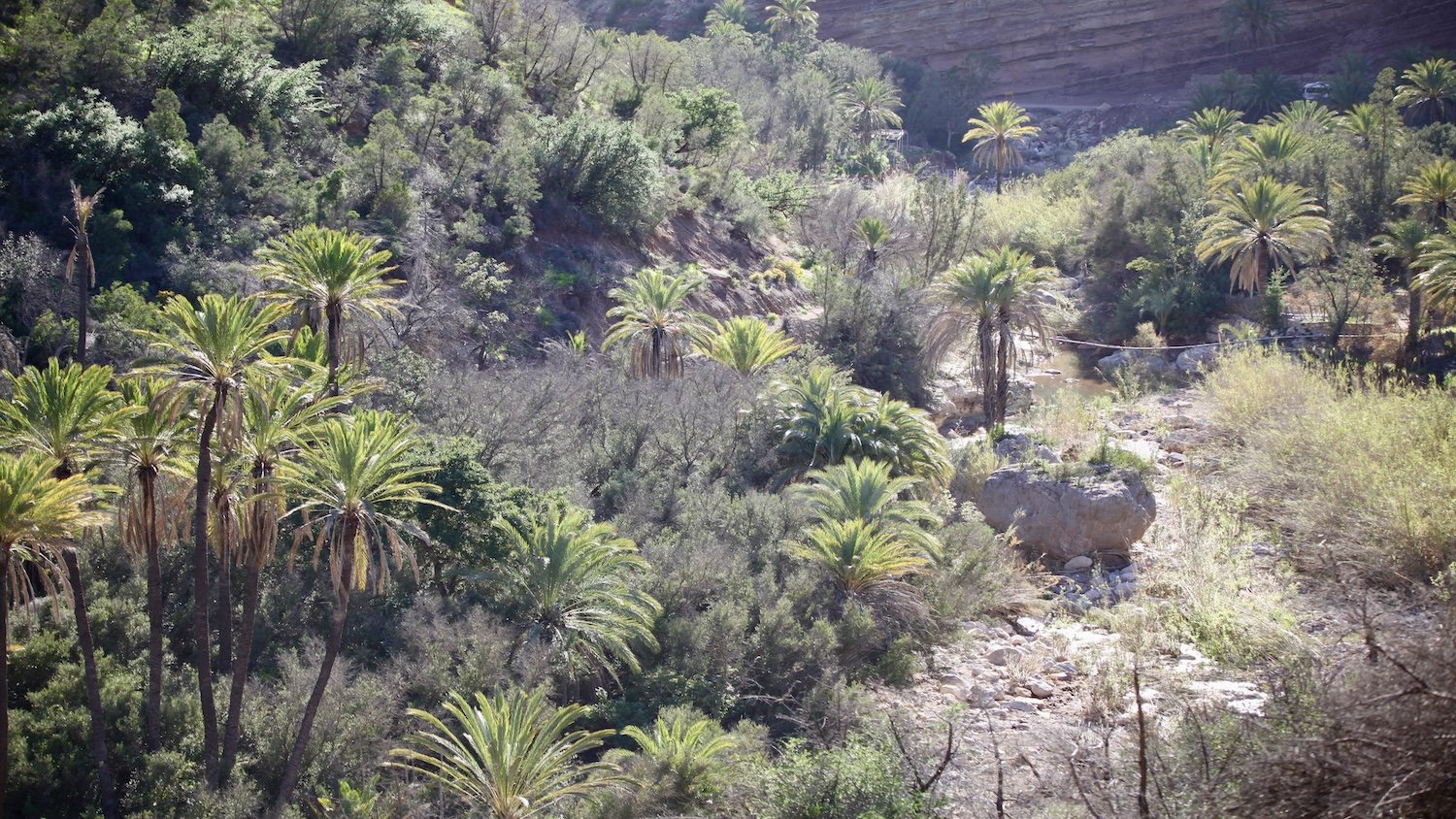 How to experience Paradise Valley  