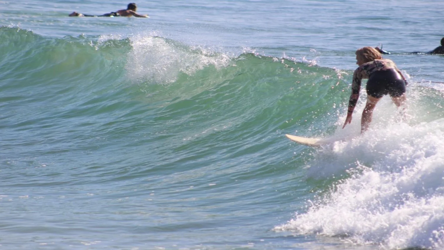 Surfing for life and loss