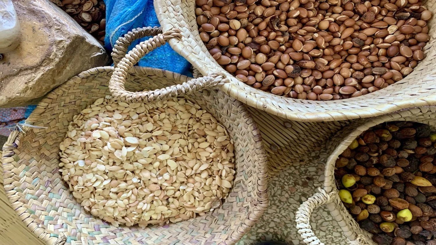 Seven traditional remedies growing in Morocco