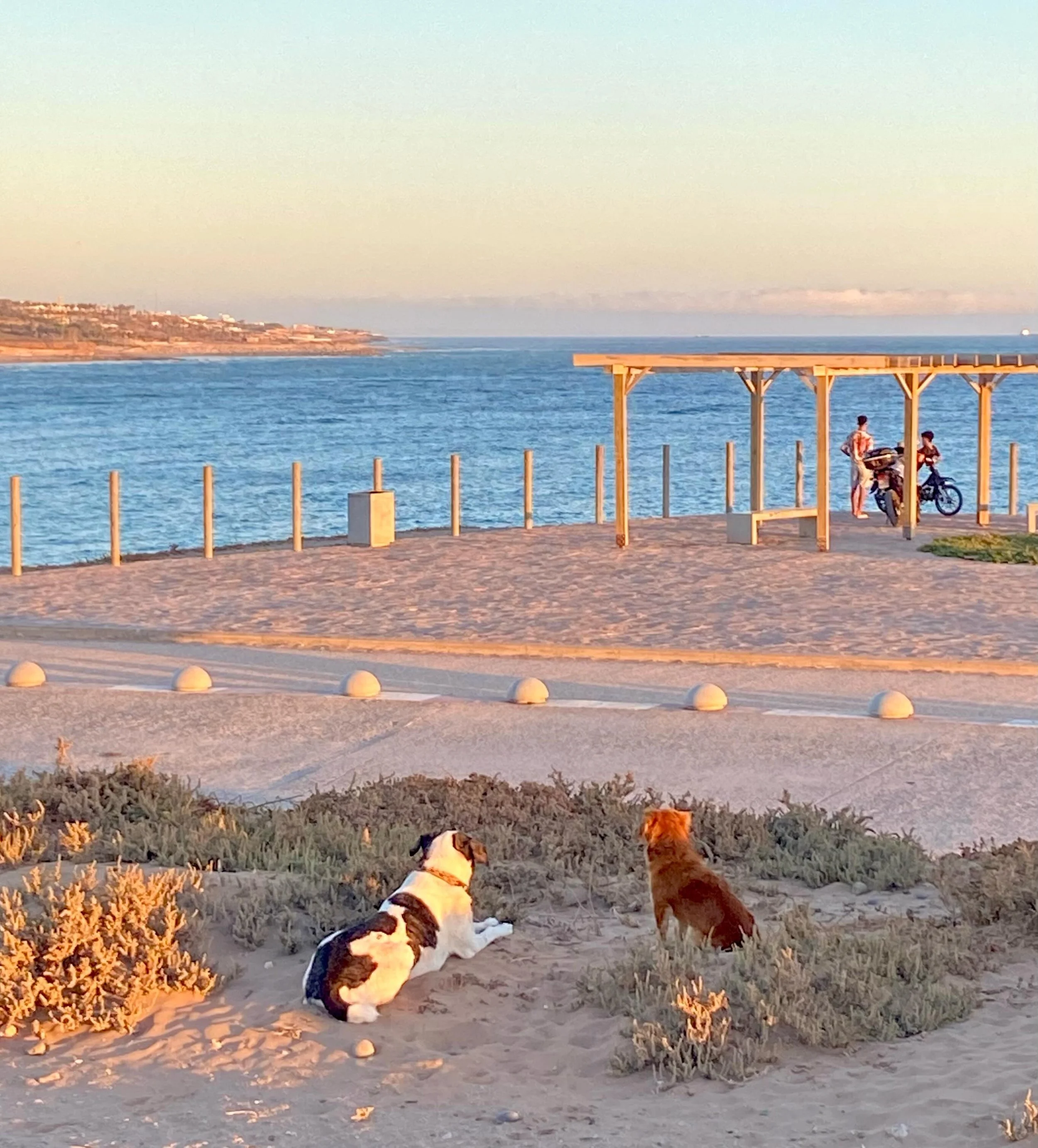 End June, early July. One of my favourite seaosns here. 

The quiet in-between. When locals hang out. Conversations change. New connections spark. Friendships deepen. Creativity returns. The ocean becomes a pool.  Gardens become FIFA screenings. 

Ti