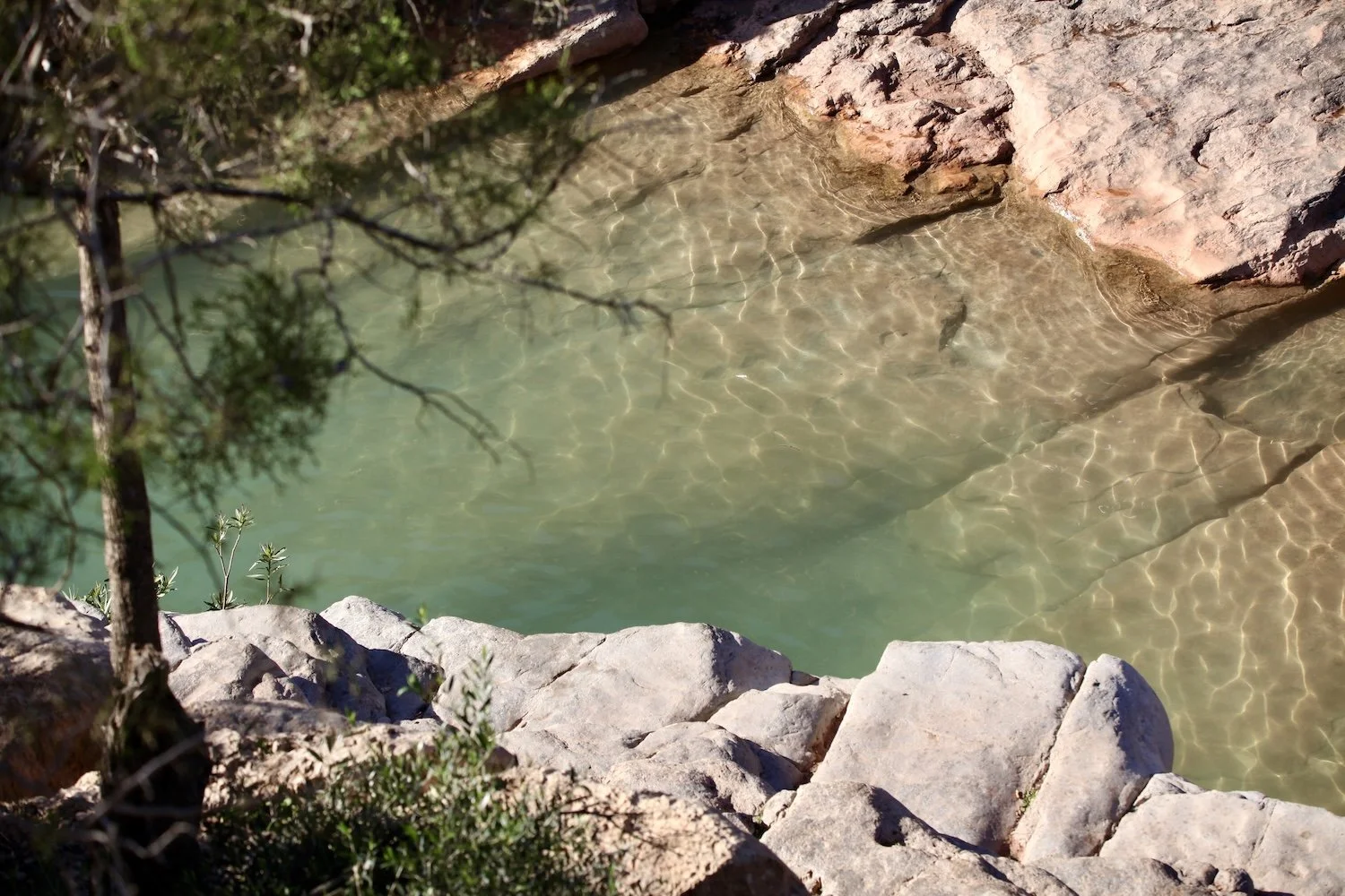 The secret Moroccan valley with fruit trees, flowers and crystal-clear pools