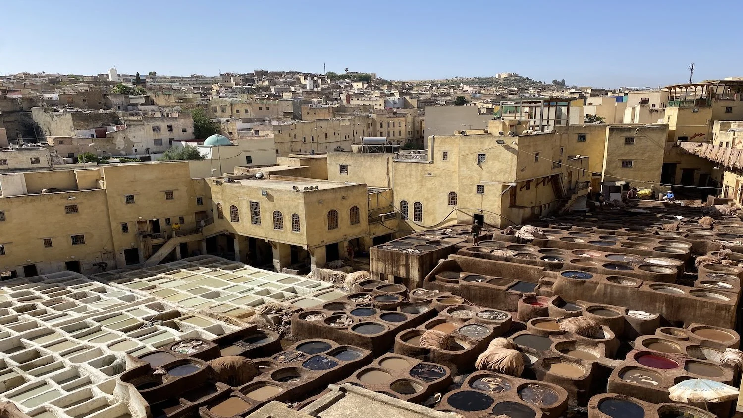 Why Visit Now: Fes
