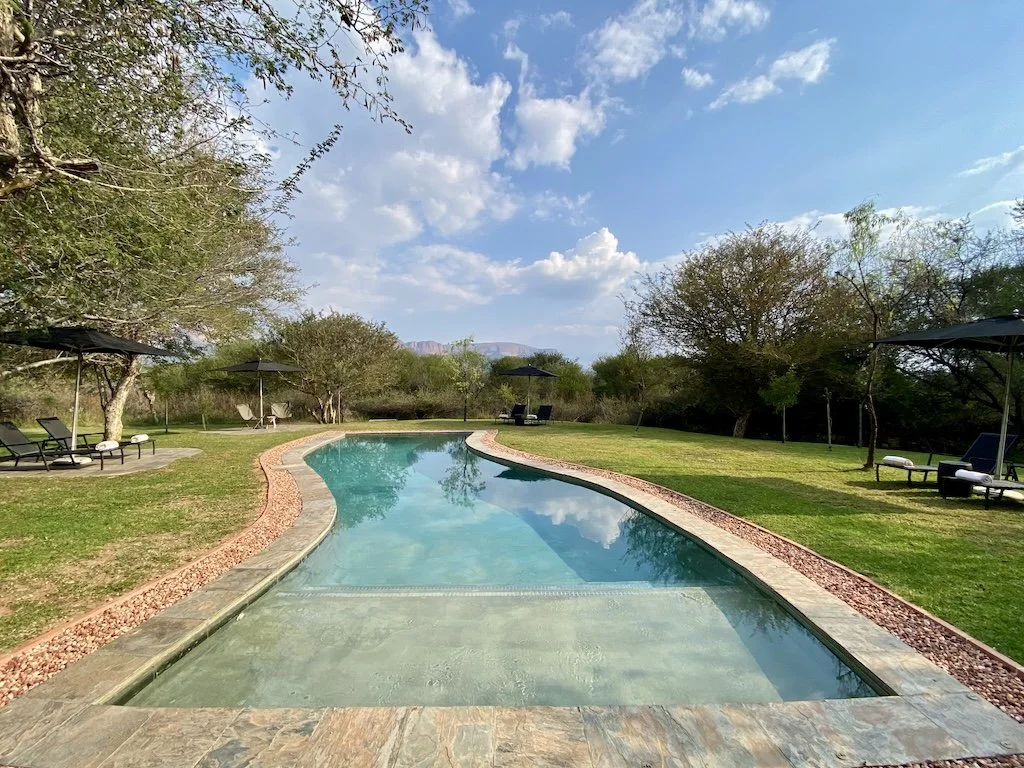 pool in the trees at marataba safari lodge