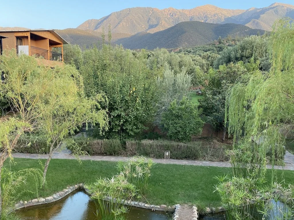 gardens and mountain view Ouirgane Ecolodge