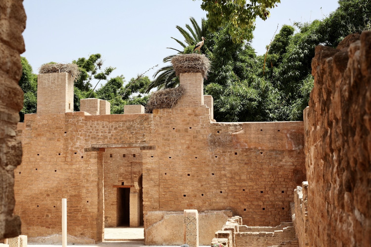 chellah ruins in Rabat, with a stork sitting in its nest