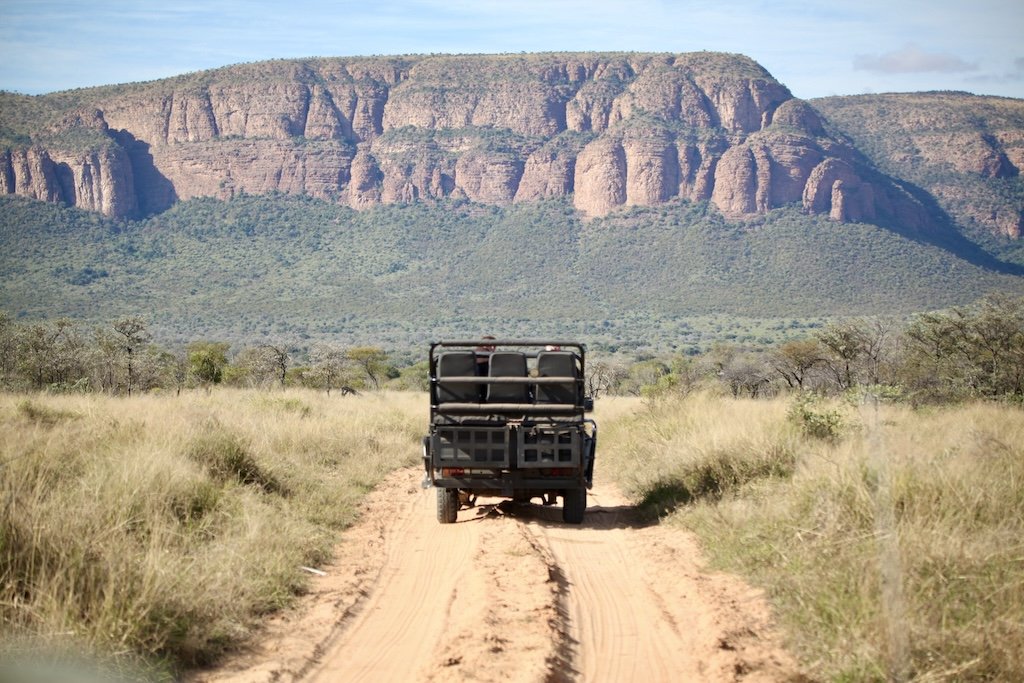 safari vehicle on sand road with waterberg mountain backdrop