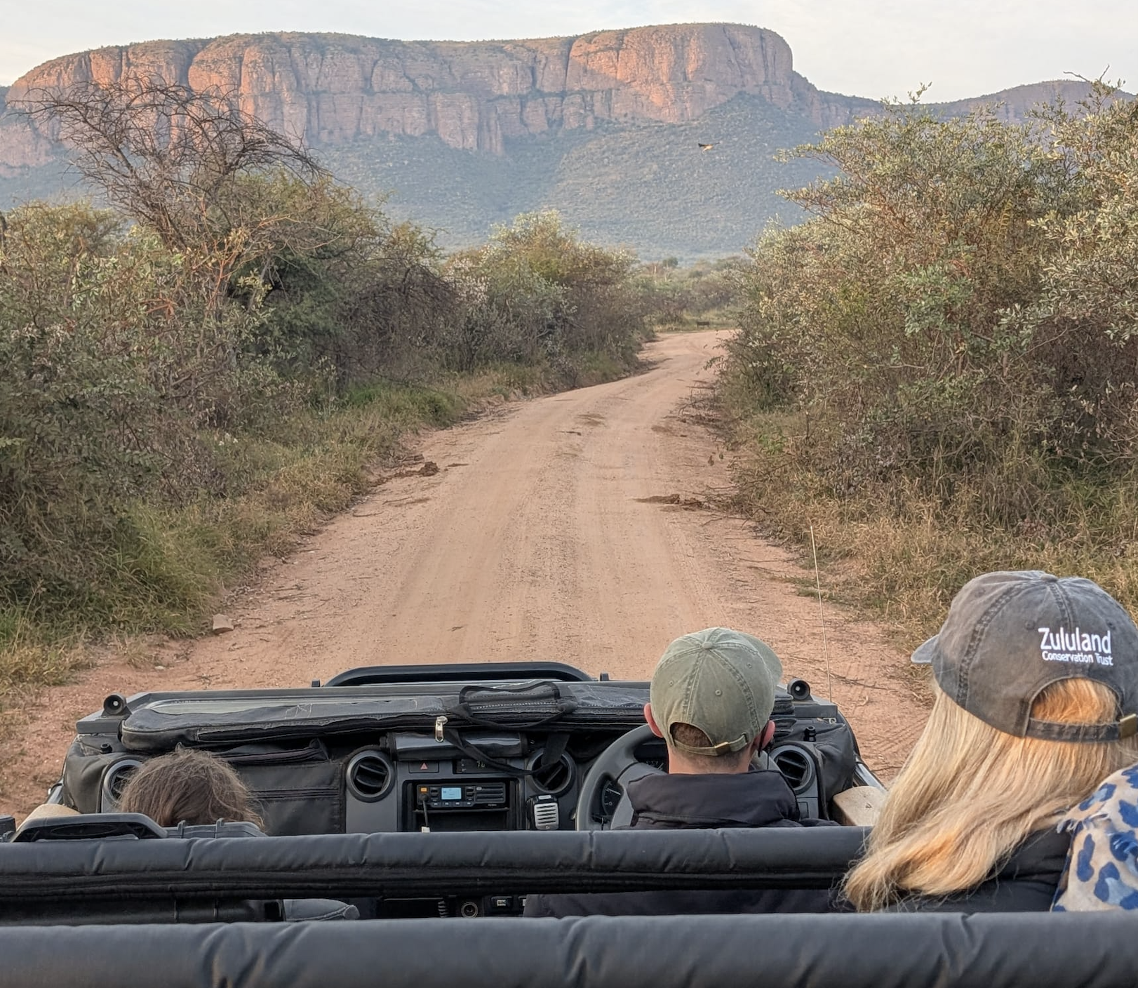 on a safari drive in marataba south africa