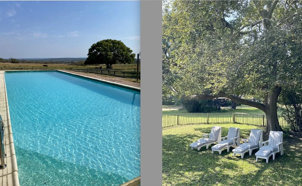 Waterberg Cottages pool and tree shaded sunloungers