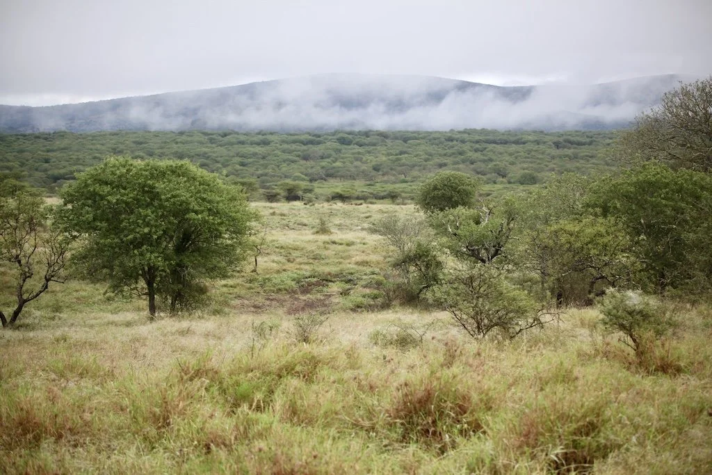 view of the green landscapes and hovering cloud manyoni national park