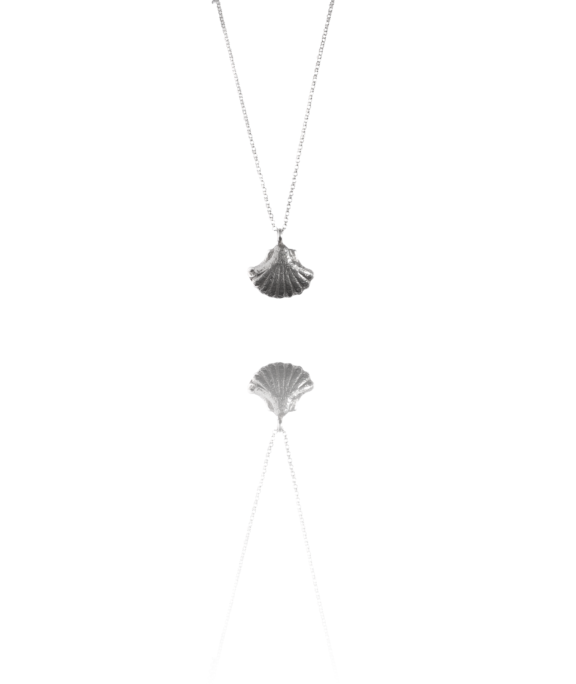 silver shell on rolo chain.png