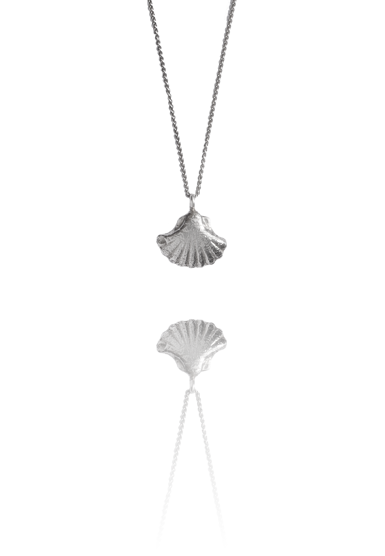 Shell on speiger chain.png