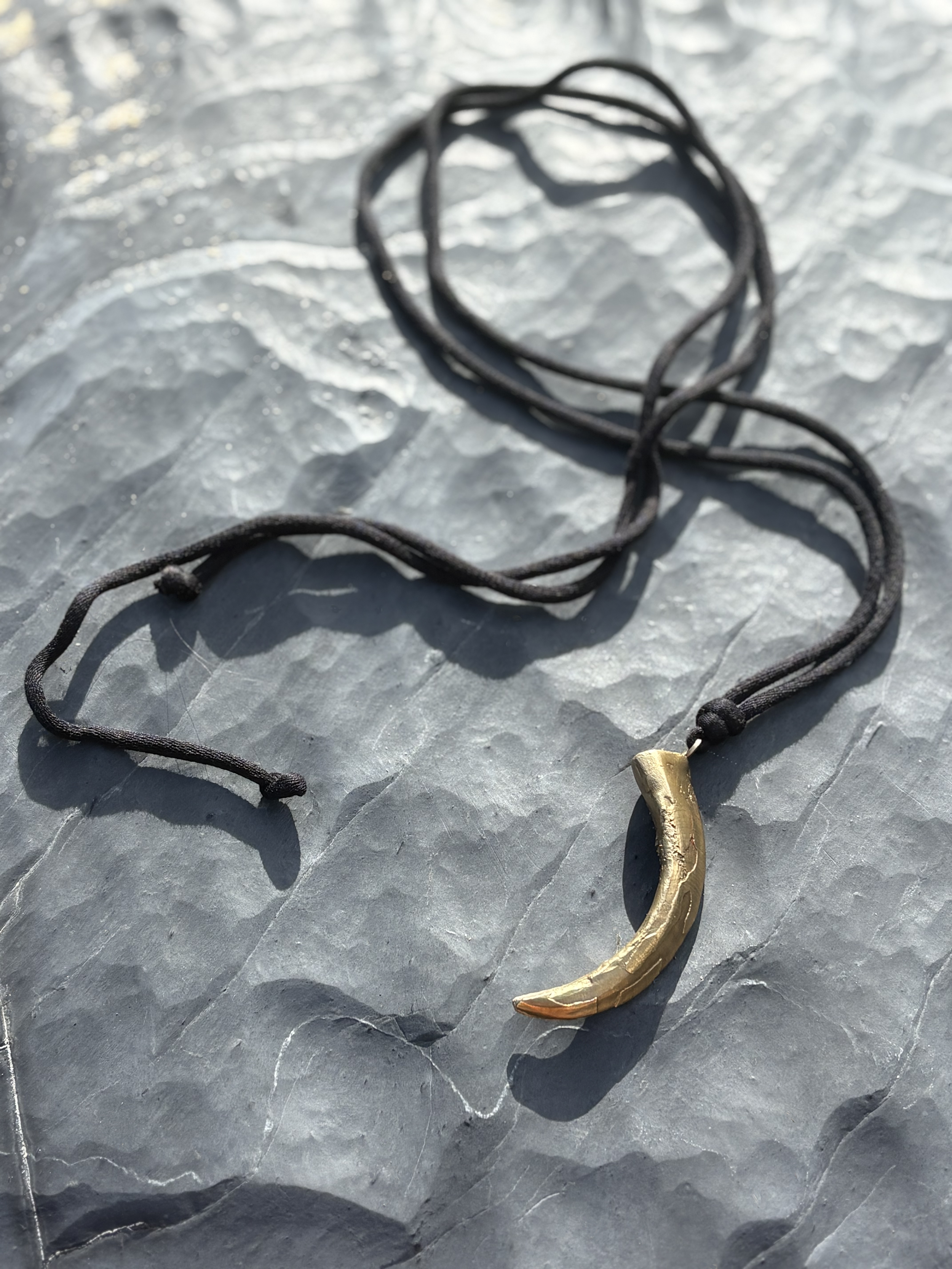 Gold tusk on black rock copy.png