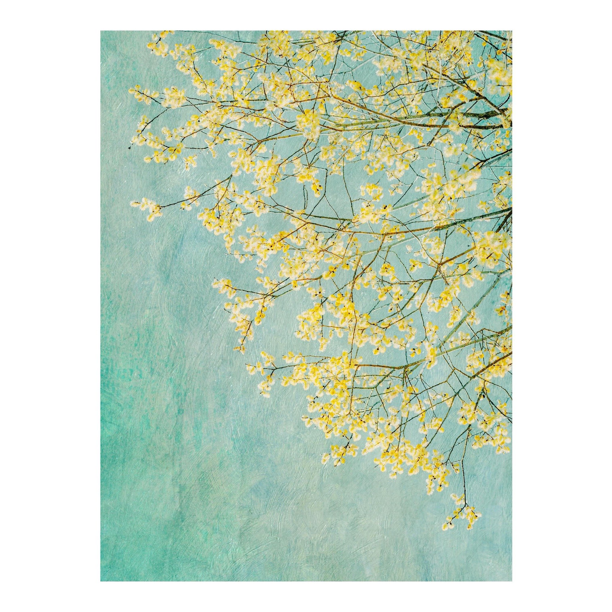 Spring Ii
.
.
.
.
. 
#tree #spring #impressionism #zennature #blossom #elementsphotomag #landscapephotography #trees #woodlandphotography #landscapephotography  #minimalmood #minimalism #abstractart #naturephotography #fineartphotography #artclassifi