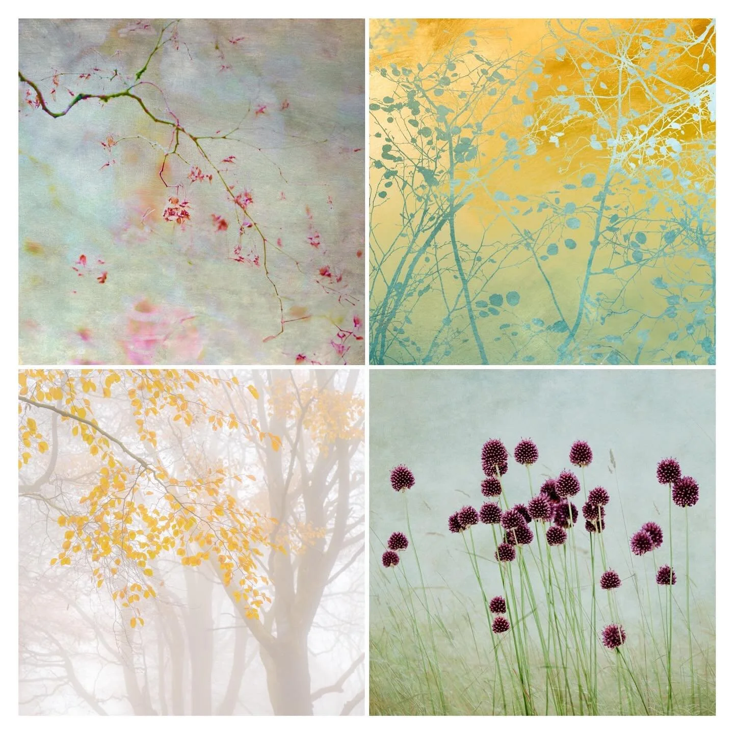 PRINTS FOR SALE. These four images (swipe to see full frame) are now available as limited edition prints from my website. Signed, numbered and printed on fine art matt paper. A special gift for someone this Christmas perhaps. 
.
.
.
.
.
.
.
#prints #