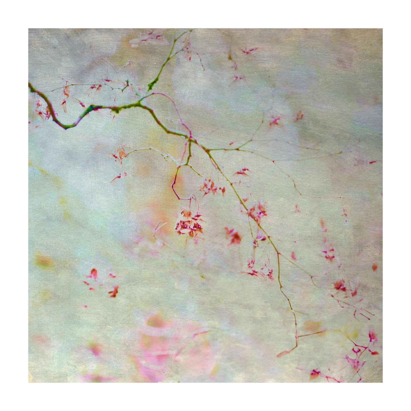 It&rsquo;s that time of year when I like to pause and say thank you.

To everyone who&rsquo;s followed, engaged with, shared, or supported my work over the past year - I really appreciate it. And a special thank you to those who bought my book or pri