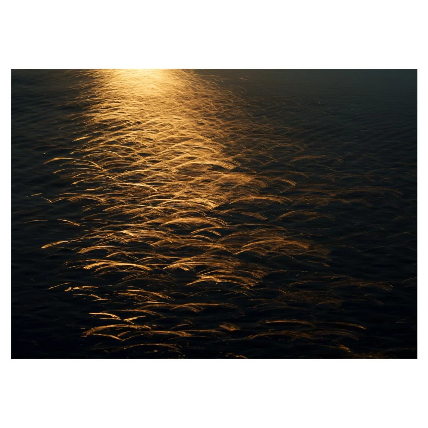 Sunlight on water&hellip;
.
.
.
.
#sunlightonwater #coastal #abstractphotography