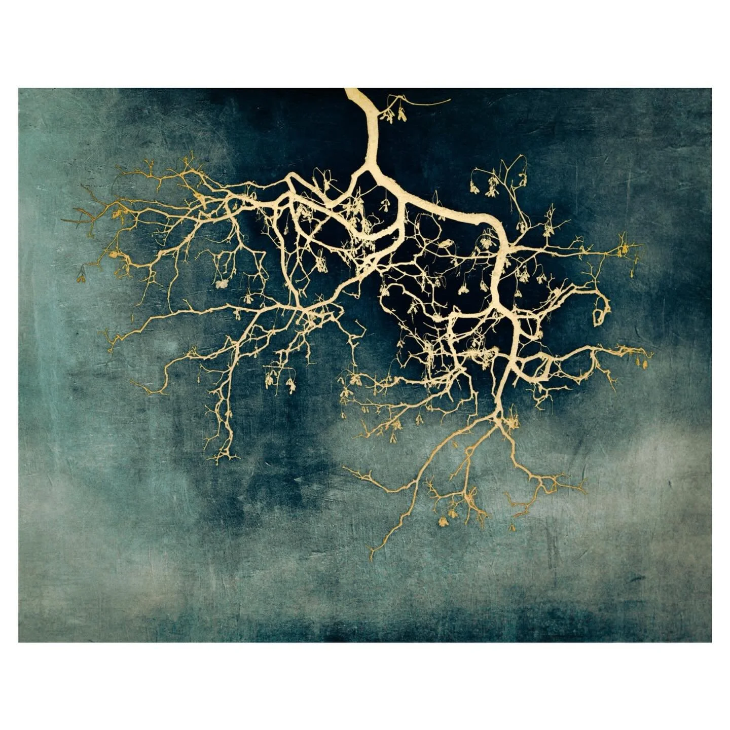 Gilded branch
.
.
.
.
#golden #branch #woodland #gilded