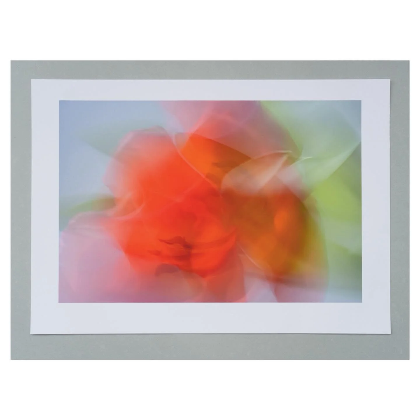 I often think images reveal themselves differently in print.
A few close-up details from a print recently shipped to its new owner in the US.
Signed and numbered prints available on request via my website.

.
.
.
.
#floral #flowerphotography #impress