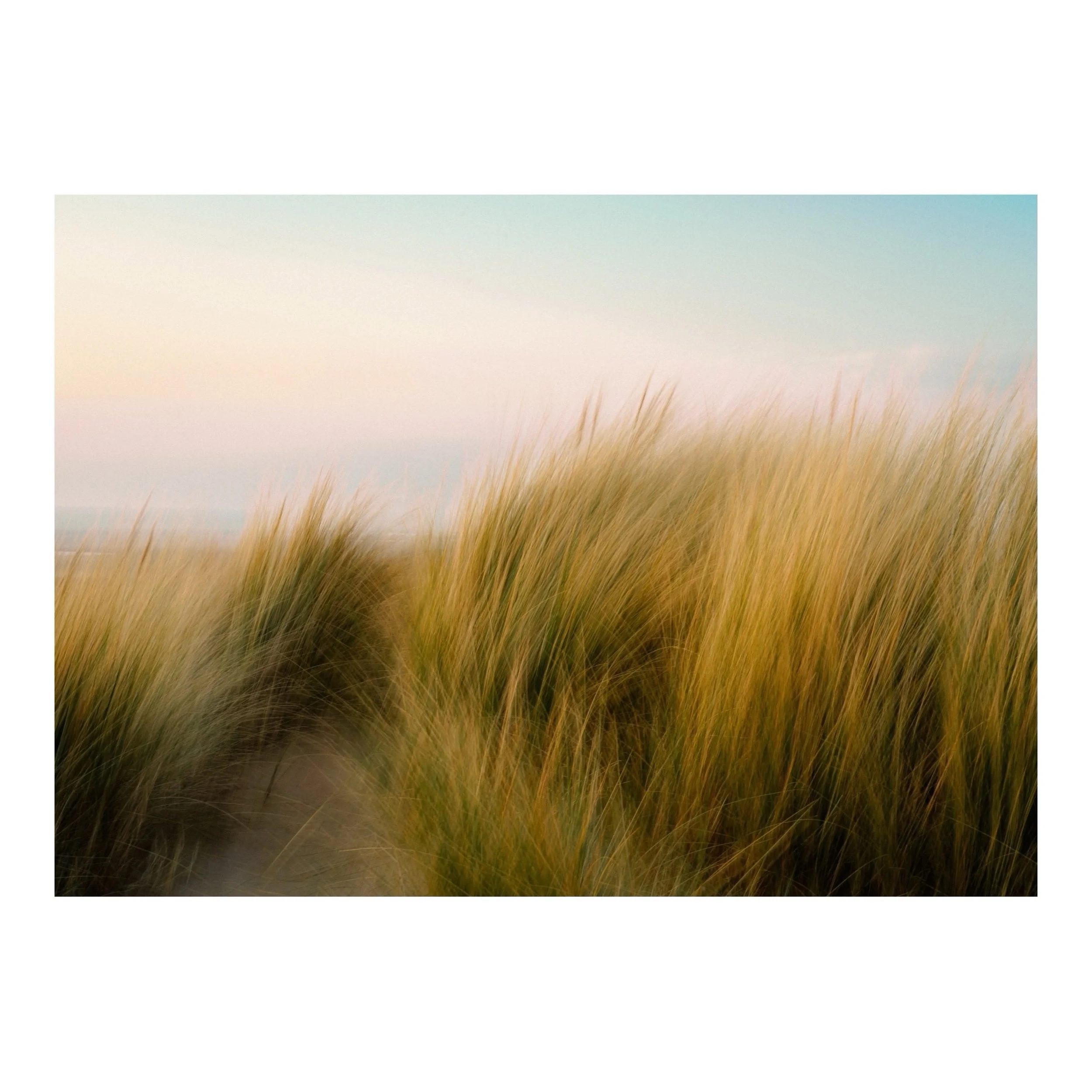 I was recently invited to submit 12 images and a photo essay to Curated Photo, an online magazine who, in their own words, &lsquo;look beyond the surface of the frame to understand the intent behind it - the thought, emotion, and experience that led 