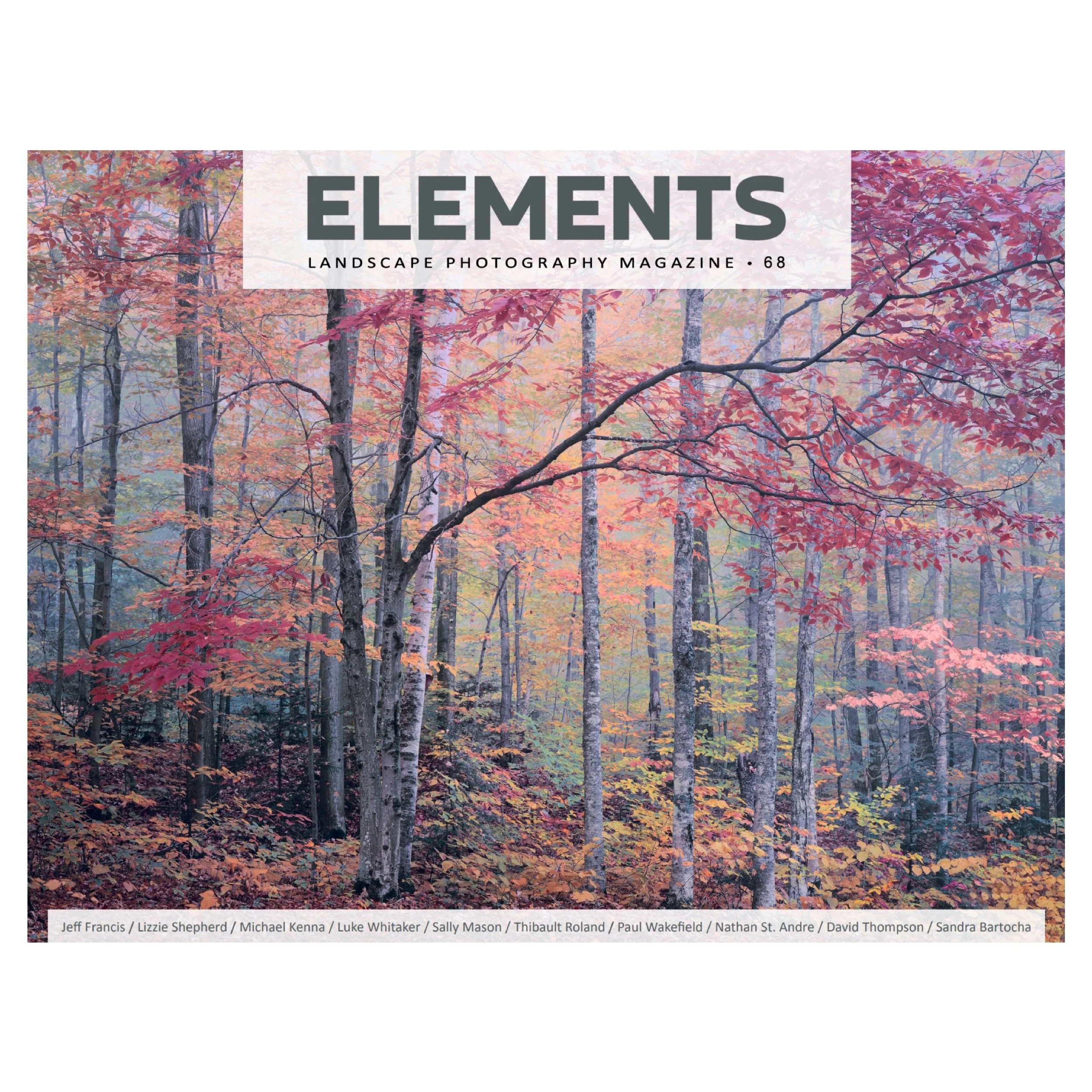 Really delighted to be featured in this month&rsquo;s @elementsphotomag as part of their How It Was Shot feature. I write about my image Under the Acer - swipe to see. 
.
.
.
.
.
#howitwasshot #acer #trees