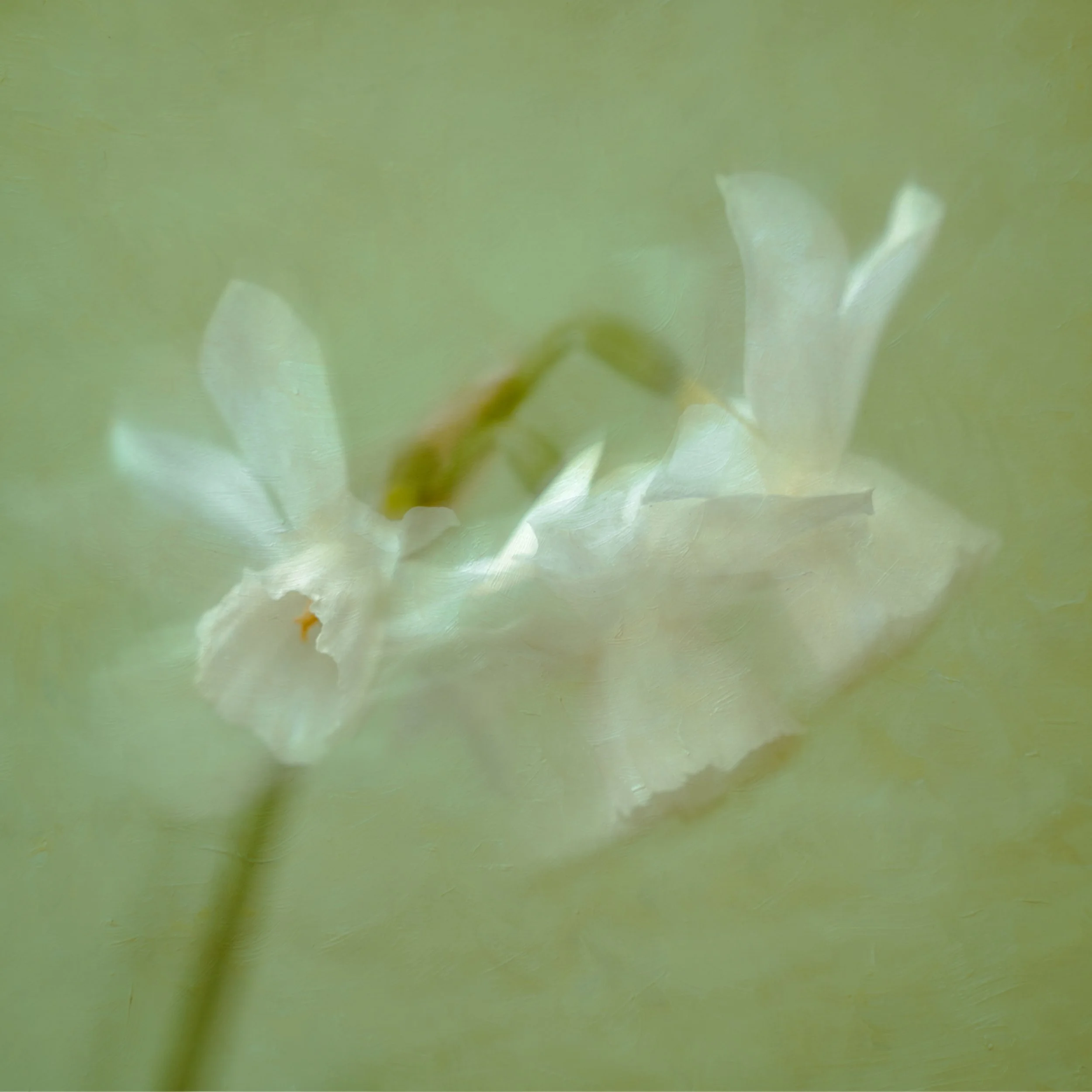 20260403-_DSC5720-Edit.jpg