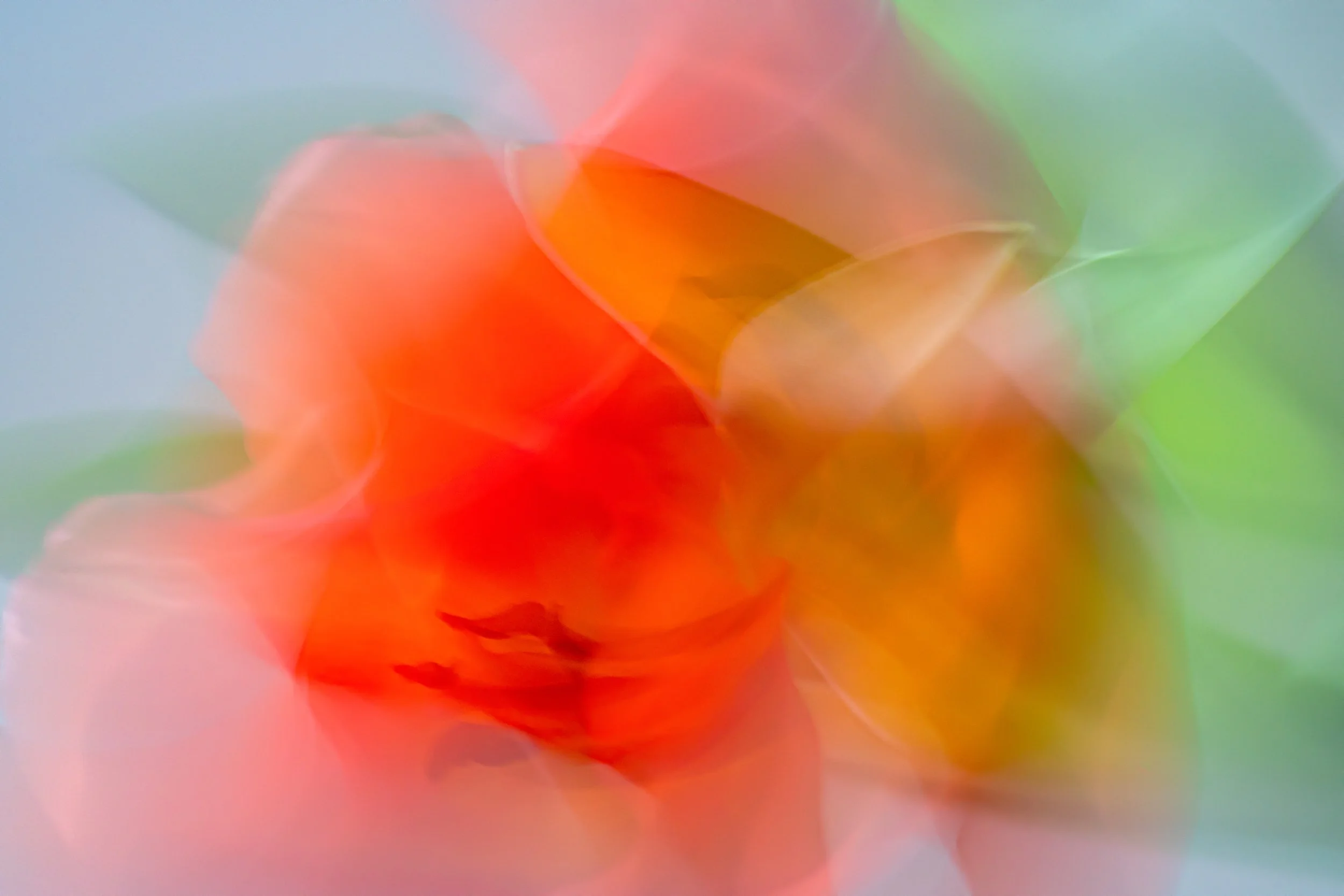 FLORA