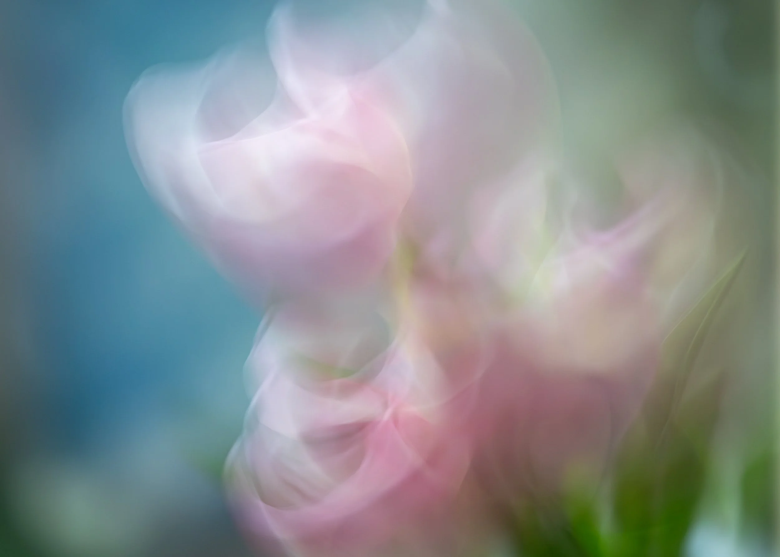 20210208-DSC03699.jpg